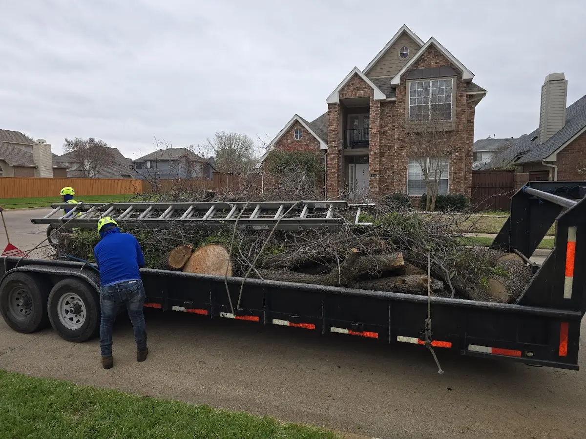 Expert Lot Clearing with proper safety equipment in Reliance